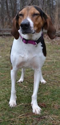 Lilly
